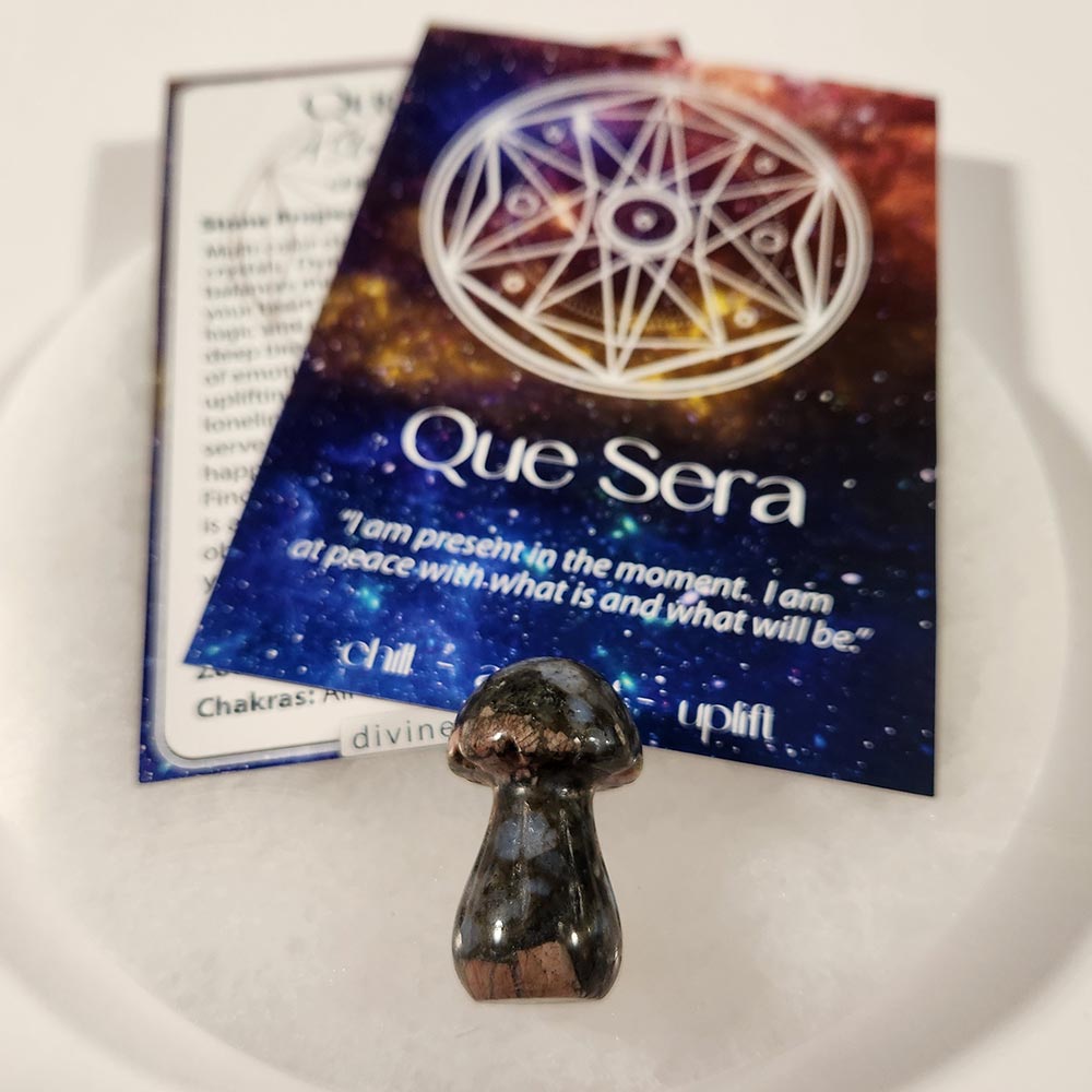essentials-que-sera